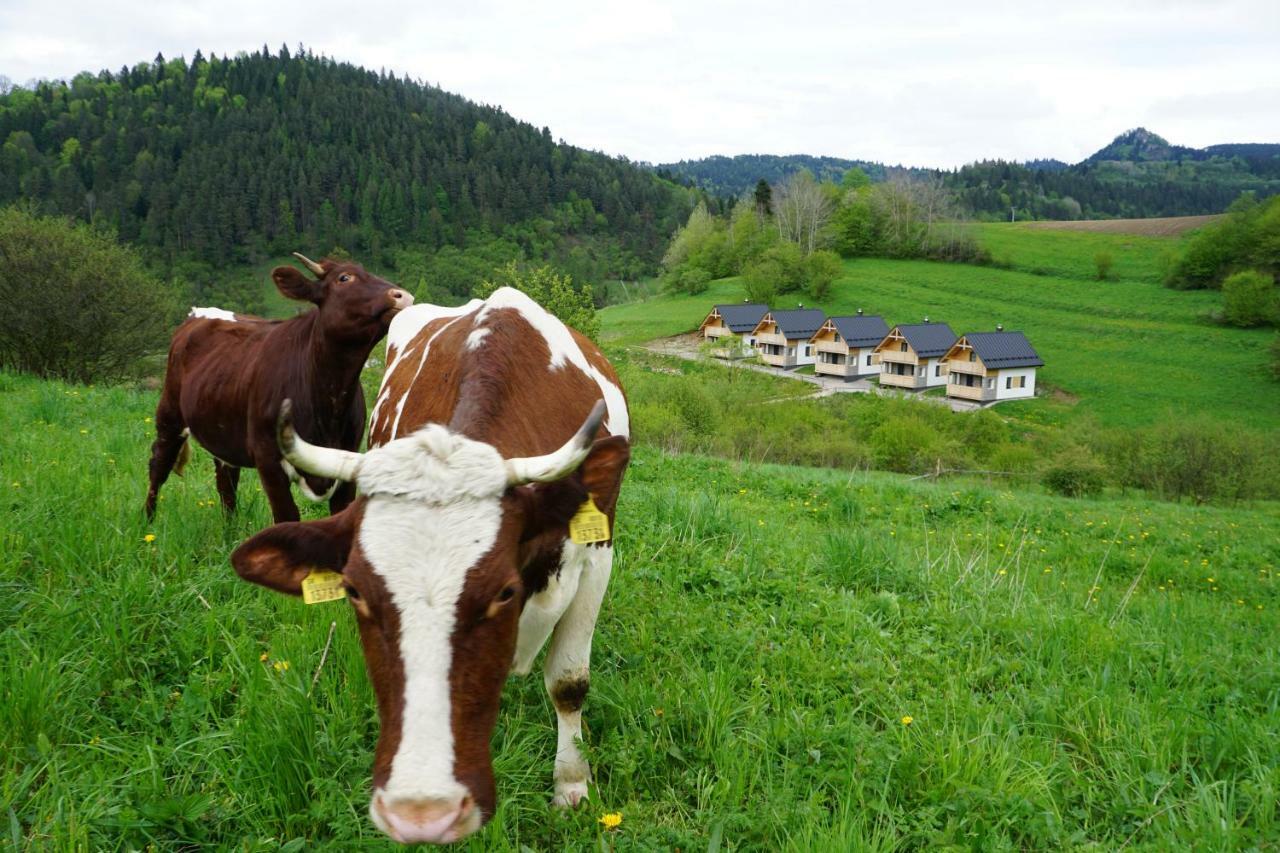 Rekreacna Usadlost Pieninka Lesnica Exterior foto