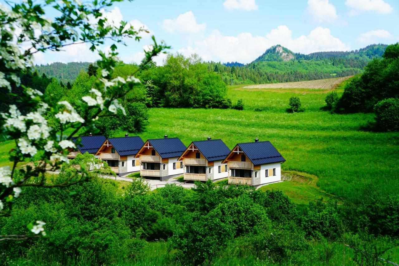 Rekreacna Usadlost Pieninka Lesnica Exterior foto